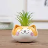 Leuke Animal Flower Pot Keramische Vaas Planter Desktop Ornamenten Home Decor Tuin Succulente Plant 211130