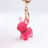 Jouet de décompression, clé de chien de dessin animé Transparent, DIY, créatif, amoureux du cristal, chaîne pendentif de voiture