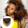 캄보디아 1B/4/27 AFRO Kinky Curly Clip in Hair Extensions 8pcs 120G/Set Ombre 컬러 인간 머리 다발