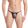 Underbyxor män mesh kort bulge påse thong låg midja sexig underkläder ubulge andningsbara män039s underkläder cueca knicker man pant6333064