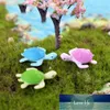 4 pièces Mini tortue tortue Miniature fée jardin décoration bricolage maison de poupée Terrarium Micro paysage décoration