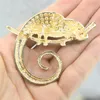 Pins Broches Grote Hagedis Kameleon Broche Dierenjas Pin Strass Mode-sieraden Emaille Accessoires Ornamenten 3 Kleuren Pick2248869