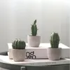 Decorative Flowers & Wreaths Simulation Cactus Potted Plant Cute Fake Home Garden Decoration Farmhouse Office Desktop