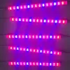 1/5pcs Led Plant Grow Light T5 Tube Red Blue Vegetable Growing For Flower Plants Hydro Indoor Greenhouse Growbox Tent PlanterR1 Lights