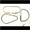 Haczyki Szynki Przechowywanie organizacja organizacja domowa Dom Garden Drop dostawa 2021 3 Style Brass Golden Vintage Carabiner Bierek klęcznikowy Retro Retro