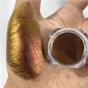 Metallic Chameleon Shiny Eyeshadow Powder Pen Ombretto alla moda in stick impermeabile senza sbavature