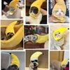 Jouets pour chats, chapeau mignon pour animaux de compagnie, couvre-chef en forme de banane pour petit chien et Festival, vêtements amusants