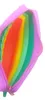 Silicone Pen Storage Bag för Party Sensory Push Bubble Pencil Box Pouch School Kids Rainbow Fidget Stationery Case