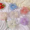 Elegantes bandas para el cabello de organza de tul para mujer con bordes coloridos Scrunchies de malla de gran tamaño accesorios elásticos para el cabello