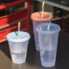 24oz / 16oz Hoge kwaliteit Mokken Confetti Cup met Rainbow Straw Dot Color Changing Cups PP Cold Water door zee CCA12128