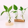 Vazen Terrarium Creatieve Hydroponic Plant Vintage Bloempot Transparante Vaas Houten Glazen Tafelblad Planten Home Bonsai Decor