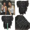 Afro Kinky Curly Clip Ins Extensions de cheveux humains Cheveux mongols Clip de couleur naturelle afro-américaine dans l'extension