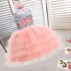 Infant Baby Girls Lace Cake Tutu Birthday Dresses Christening Gowns Baby Baptism Clothes Flower Prom Big Bow Princess Dresses G1129