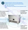 2000W Commercial Ice Brick Machine Large Capacity Ice Making Machine Electric Snow Ice MakerWith 12 Buckets