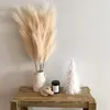 Dekorativa blomsterkransar 5 st Faux Pampas Gräs Stor 120/100/85 cm Blombukett Falsk konstgjord dekor Höga fluffiga stjälkar Vardagsrum