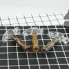 marteau fumant pipe eau bong tenu mini main tuyaux verre barboteur dab rig forme unique