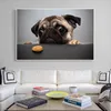 Modern Large Size Canvas Painting Funny Dog Poster Wall Art Animal Picture HD Printing For Living Room Bedroom Decoration342c
