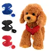 Colliers de chat conduit produits pour animaux de compagnie fournitures strass maille harnais laisse ensemble gilet pour petit chien