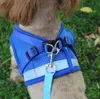 Waistcoat Model Dog Harness Leashes Set Andningsskydd Mesh Strap Vest Collar Rope Pet Dogs Supplies Sn2738