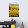 Wall Art Sunflower Painting Modern Landscape Red Poppy Field Handmade Oil Canvas Beautiful Flowers Artwork for Home Decor