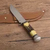 Couteau droit de survie 440C Lame à point de chute en satin Manche en résine Couteaux à lames fixes avec emballage sous blister