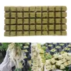 Planterare krukor hydroponic växa soilless rockwool kuber mini komprimera bas odling trädgård icke giftig steril jordbruk plantering greenh