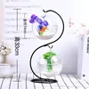 Aquariums Goldfish Ball Hanging Aquarium Fish Tank Bowl Ecosphere Flower Plant Vase Table For Small Pet Supplies Accessories2546538