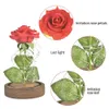 Drop Red / White / Black Eternal Rose Flower In Glass Dome With LED Light Wooden Base Valentine Julklappar för kvinnor 210624