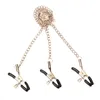 Yutong Naturey Flirt Nipple Clamps Лабия Грудь с цепными клипами Ведомочный БДСМ Фетиш Эротические игрушки Природный инструмент для женщин Игра