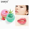 Sanye Hidratante Lábios Bálsamba Morango Aloe Favores Natural Gentil Hydrating Lip Care Balm Scrub Para Homens Mulheres