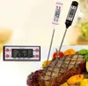 steak termometer