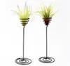 Decorazioni da giardino Supporto per piante ad aria Supporto per fiori a spirale in ferro nero Contenitore AirPlant Tillandsia XB17803656