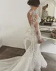 2022 Luxurious Beaded Lace Mermaid Wedding Dresses Illusion Back Sheer Long Sleeves Plus Size Bridal Gowns Wedding Dress BC0097