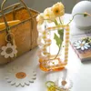 Vaso scozzese trasparente Disposizione dei contenitori in acrilico essiccato fresco Decorazione del desktop per la casa con fiori idroponici