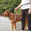 ceinture de chien rétractable