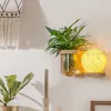 Nordic minimalist interior wall lamp with switch green plant solid wood aisle decoration balcony bedside lamp bathroom mirror headlight