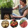 Jardinières Pots Pomme De Terre Tomate Plantation Légumes Cultiver Sac Conteneur Jardinière Patio Jardin Plante 3 Couleurs