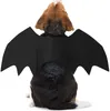 Psa odzież Pet Cat Bat Wings Halloween Cosplay Bats Costume Pets Ubrania dla kotów Kittak Puppy Małe średnie duże psy A977360756