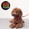 كلب جرو كلب أطواق مضيئة الصمام طوق بطارية الإصدار أزياء متعددة الألوان للوسيط كبير وصغير