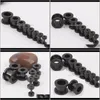 Plugs & Tunnels Drop Delivery 2021 100Pcs/Lot Mix 2-10Mm Stainless Steel Screw Black Ear Plug Flesh Tunnel Piercing Body Jewelry Hon4P