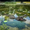 Décorations de jardin Simulation de résine flottant tête de Crocodile Figurines d'animaux décor artificiel pour étang parc Art Statues