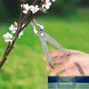 210mm 8 polegadas jardim frames cortador forjado aço borda redonda tesoura tesoura cortador faca bonsai ferramentas de jardim cortador de árvore