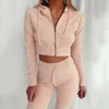 2021 SPring Women Pajama Set Home Hooded Long-sleeved With Zipper Top & Pants Suit Outfits Ladies Slim Casual Suit Homewear X0428