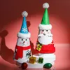Noel Süslemeleri 2022 Yıl Xmas Hediye Şeker Çanta Süsler Dekor 3D Sevimli Kawaii Örme Bez Bebek Apple Cebi