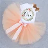 Cute Pink My Little Girl First 1st Birthday Party Dress Tutu Cake Smash Outfits Infant Kid Dress Baby Girl Baptism Clothes 9 12M 53 Y2