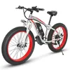 Elektrische fiets EU-kwaliteitsniveau 48V 1000W motor 13Ah lithiumbatterij 26 inch vetbandfiets