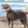 TrueLove Мягкая мягкая собака жгут легко включен и выключает нейлоновый регулируемый автомобиль, ремень домашнее животное