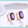 Hoop Jewelryhoop Hie Purple Österrike Big Oval Crystal Earring Blue Cubic Zircon Statement örhängen för kvinnors engagemang Fashion Jewelry1 Dr