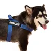 Arnés para perros con tela de malla, clip de metal, chaleco de ajuste rápido, cómodo, sin tirones, ajustable para perros pequeños, medianos y grandes 211006