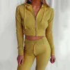 2021 SPring Women Pajama Set Home Hooded Long-sleeved With Zipper Top & Pants Suit Outfits Ladies Slim Casual Suit Homewear X0428